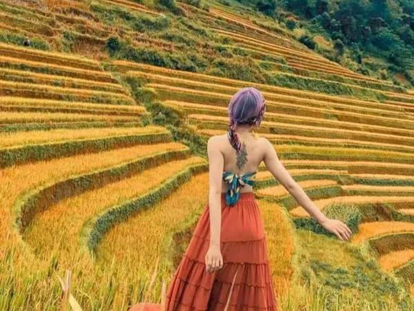 MAI CHÂU - MỘC CHÂU 2 NGÀY 1 ĐÊM.