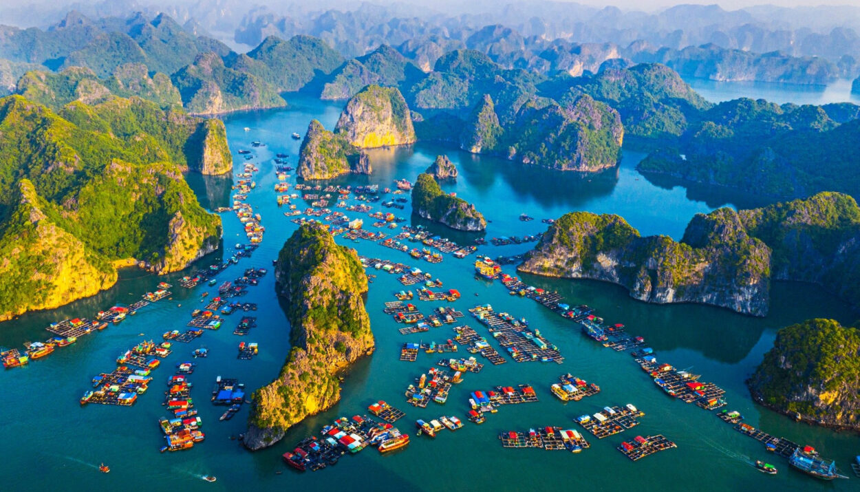 Tour du lịch Cát Bà