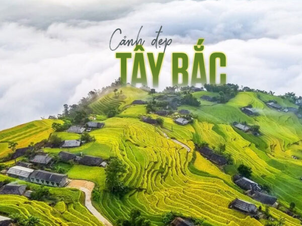 Đông Tây Bắc
