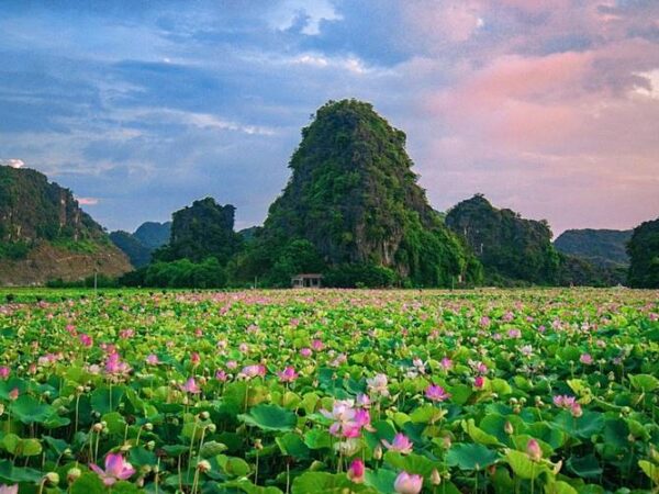 NINH BÌNH - HẠ LONG - SAPA FANXIPAN - 4 NGÀY 3 ĐÊM.