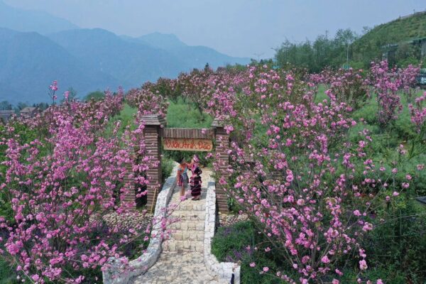 Review the sinh thật 2026 đáng tin cậy cho chuyến đi của bạn